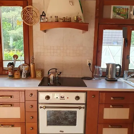 Kaszuby Nad Jeziorem Blisko Gdanska Borkowo (Kartuzy)